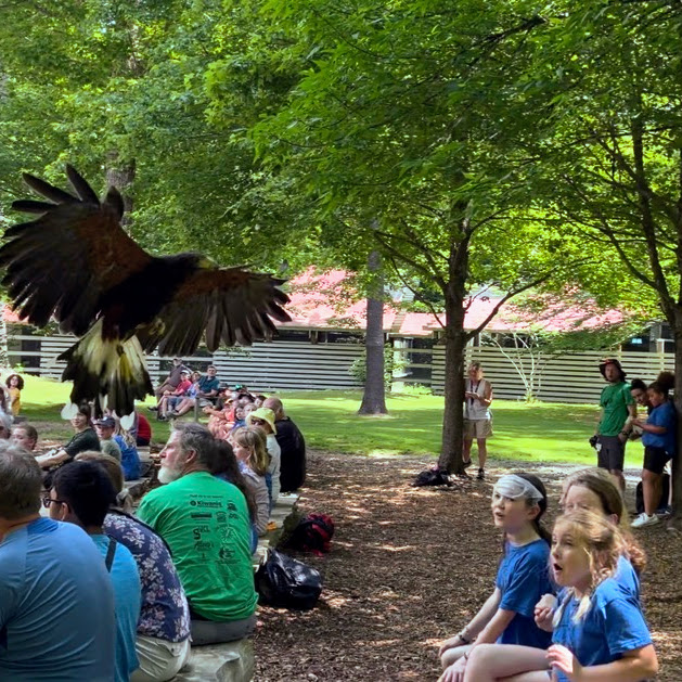 Students watch a live raptor performance.